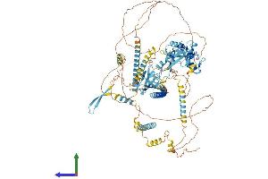 AlphaFold protein structure predicition of Mouse Recombinant Pdzrn3 Protein, UniprotID Q69ZS0