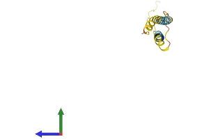 AlphaFold protein structure predicition of Human Recombinant SMIM19 Protein, UniprotID Q96E16