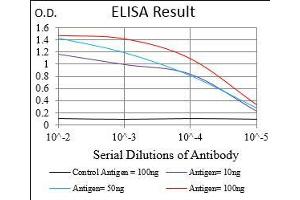 Black line: Control Antigen (100 ng), Purple line: Antigen(10 ng), Blue line: Antigen (50 ng), Red line: Antigen (100 ng), (CD45 抗体  (AA 928-989))