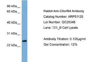 WB Suggested Anti-C6orf94  Antibody Titration: 0. (FAM164B 抗体  (N-Term))
