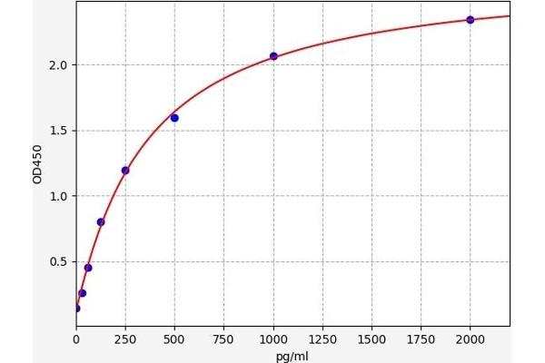 Caspase 12 ELISA 试剂盒