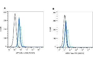 Establishing the effectiveness of the Rabbit IgG Isotype Control-ATTO Fluor-550 (ABIN7582042), alongside cell surface detection of AT1R by direct flow cytometry in a live intact mouse J774 macrophage cell line. (兔 IgG isotype control (Atto 550))