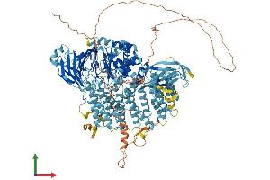 AlphaFold protein structure predicition of Human Recombinant TAF2 Protein, UniprotID Q6P1X5