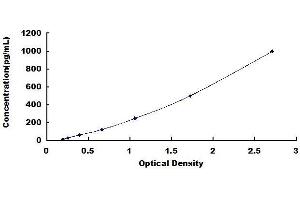Typical standard curve