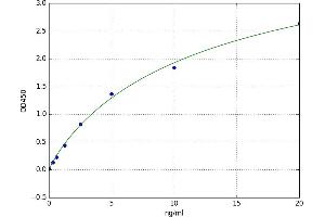 A typical standard curve (ERLIN1 ELISA 试剂盒)