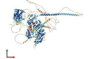 Protein Structure (PS) image for Myosin IIIA (MYO3A) (AA 1-1616) protein (His tag) (ABIN7554694)