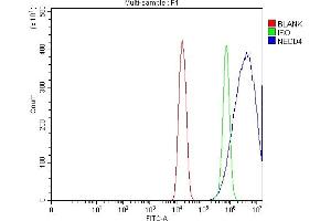 Flow Cytometry analysis of HEPA1-6 cells using anti-Nedd4 antibody (ABIN7602341).