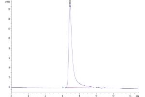 The purity of Human OX40 is greater than 95 % as determined by SEC HPLC. (TNFRSF4 Protein (AA 29-216) (His-Avi Tag))