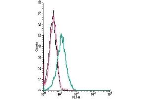 Cell surface detection of D2 dopamine receptor by indirect flow cytometry in live intact human Jurkat T-cell leukemia cells: (black line) Cells. (Dopamine d2 Receptor 抗体  (Extracellular, N-Term))