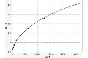 Typical standard curve
