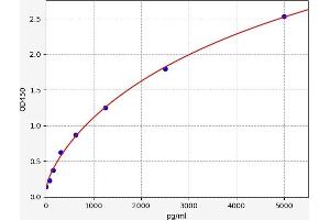 Typical standard curve (TNFSF9 ELISA 试剂盒)