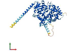 Protein Structure (PS) image for Cytochrome P450, Family 4, Subfamily V, Polypeptide 2 (CYP4V2) (AA 1-525) protein (His tag) (ABIN7553537)