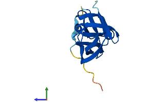 Protein Structure (PS) image for Yippee-Like 2 (YPEL2) (AA 1-119) protein (His tag) (ABIN7545512)