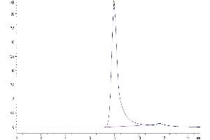 The purity of Human FXI is greater than 95 % as determined by SEC-HPLC.