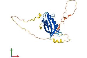 AlphaFold protein structure predicition of Human Recombinant DDIT4 Protein, UniprotID Q9NX09