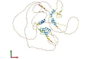 Protein Structure (PS) image for Insulinoma-Associated 2 (INSM2) (AA 1-566) protein (His tag) (ABIN7548581)