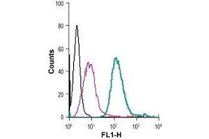 Cell surface detection of GPR91 in live intact mouse J774 macrophage cells: (black line) Cells. (SUCNR1 抗体  (Extracellular) (FITC))