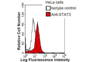 HeLa cells were fixed in 2% paraformaldehyde/PBS and then permeabilized in 90% methanol. (STAT3 抗体)