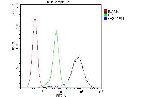 Flow Cytometry analysis of 293T cells using anti-CA2 antibody (ABIN6719533). (CA2 抗体  (AA 2-260))