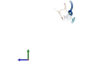 Protein Structure (PS) image for Calcium Binding and Coiled-Coil Domain 2 (CALCOCO2) (AA 1-446) protein (His tag) (ABIN7552794)