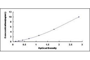 Typical standard curve (CAMK2A ELISA 试剂盒)