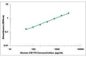 SIGLEC5 ELISA 试剂盒