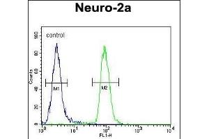 CIRH1A Antibody (N-term) (ABIN653909 and ABIN2843146) flow cytometric analysis of Neuro-2a cells (right histogram) compared to a negative control cell (left histogram). (CIRH1A 抗体  (N-Term))