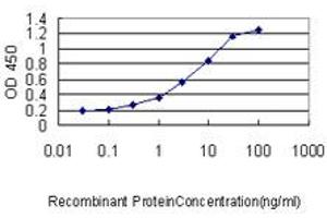 Detection limit for recombinant GST tagged E2F6 is approximately 0. (E2F6 抗体  (AA 1-281))