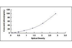 Glucose 6-Phosphatase, Catalytic (G6PC) ELISA Kit