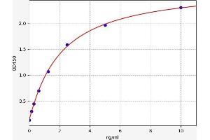 Typical standard curve (HIST1H2BB ELISA 试剂盒)