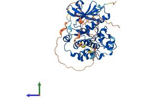 Protein Structure (PS) image for STE20-Related Kinase Adaptor alpha (STRADA) (AA 1-431) protein (His tag) (ABIN7557289)