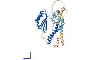 Protein Structure (PS) image for N-Terminal EF-Hand Calcium Binding Protein 3 (NECAB3) (AA 1-396) protein (His tag) (ABIN7549712)