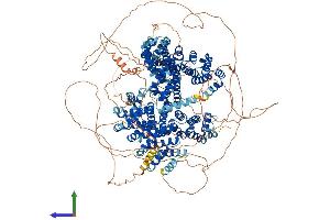 Protein Structure (PS) image for Cytoplasmic Linker Associated Protein 1 (CLASP1) (AA 1-1538) protein (His tag) (ABIN7553499)