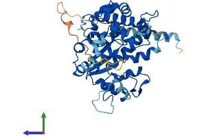 AlphaFold protein structure predicition of Mouse Recombinant Chst1 Protein, UniprotID Q9EQC0