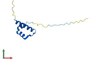Protein Structure (PS) image for Catenin, beta Interacting Protein 1 (CTNNBIP1) (AA 1-81) protein (Fc Tag) (ABIN7561596)