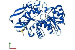 Protein Structure (PS) image for Prostaglandin Reductase 2 (PTGR2) (AA 1-351) protein (His tag) (ABIN7551044)