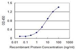 Detection limit for recombinant GST tagged TINF2 is 0. (TINF2 抗体  (AA 256-354))