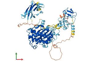 AlphaFold protein structure predicition of Human Recombinant PRKCD Protein, UniprotID Q05655