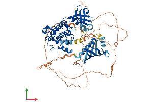 Protein Structure (PS) image for Calcium/calmodulin-Dependent Protein Kinase II beta (CAMK2B) (AA 1-666) protein (His tag) (ABIN7554284)