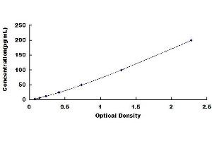Typical standard curve (Nerve Growth Factor ELISA 试剂盒)