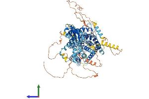 Protein Structure (PS) image for Chloride Channel 2 (CLCN2) (AA 1-908) protein (His tag) (ABIN7565174)