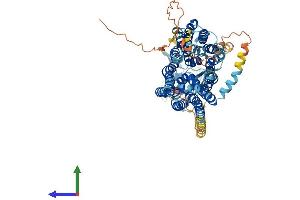 Protein Structure (PS) image for Solute Carrier Organic Anion Transporter Family, Member 1C1 (SLCO1C1) (AA 1-712) protein (His tag) (ABIN7555512)