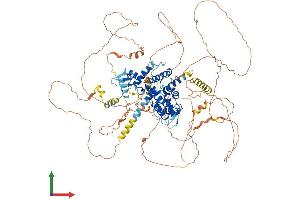 Protein Structure (PS) image for rho GTPase Activating Protein 6 (ARHGAP6) (AA 1-974) protein (His tag) (ABIN7555185)