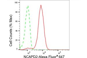 Flow cytometric analysis of NCAPD2 expression in HepG2 cells using NCAPD2 antibody (ABIN7800957), 1:2,000). (Recombinant NCAPD2 抗体)