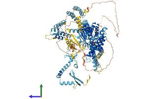 Protein Structure (PS) image for SIN3 Transcription Regulator Homolog B (SIN3B) (AA 1-1098) protein (His tag) (ABIN7563947)