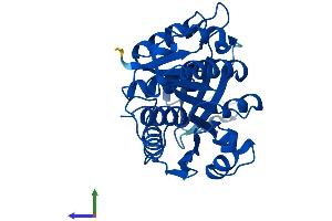 Protein Structure (PS) image for Ketohexokinase (KHK) (AA 1-298) protein (His tag) (ABIN7548781)