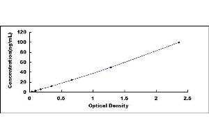 Typical standard curve (ARG ELISA 试剂盒)