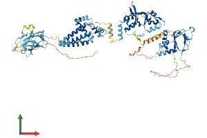 Protein Structure (PS) image for Cyclin M4 (CNNM4) (AA 1-775) protein (His tag) (ABIN7553512)