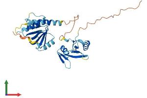 Protein Structure (PS) image for Signal Transducing Adaptor Family Member 1 (STAP1) (AA 1-297) protein (His tag) (ABIN7561696)