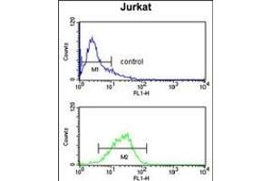STIP1 Antibody (Center) (ABIN1882135 and ABIN2839438) flow cytometry analysis of Jurkat cells (bottom histogram) compared to a negative control cell (top histogram). (STIP1 抗体  (AA 269-297))